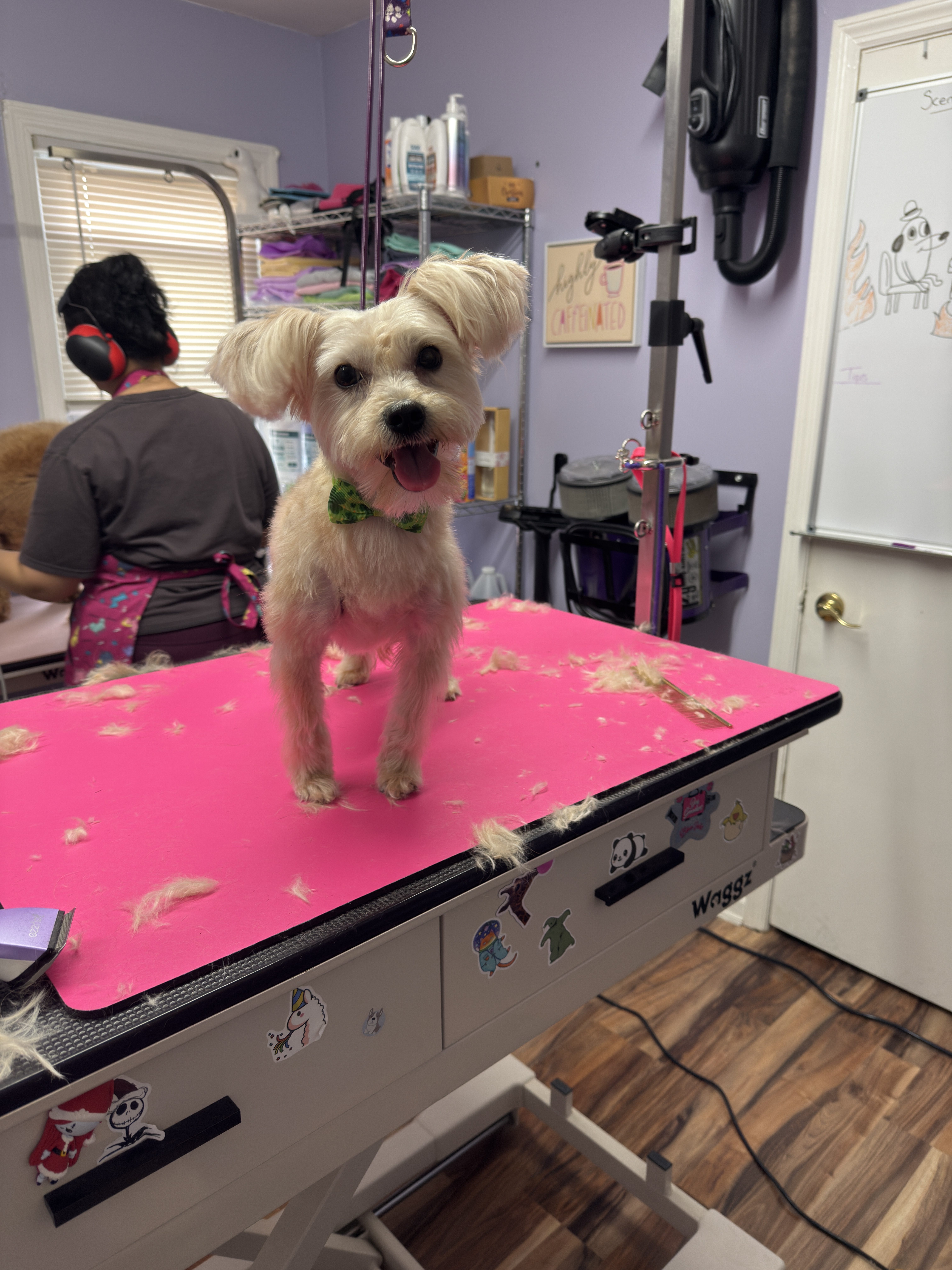 After grooming — Before and after